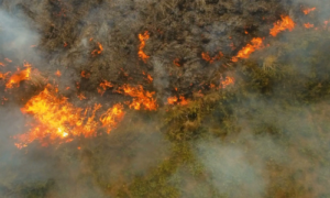 Aerial Fire Image Captured by XRay UAV